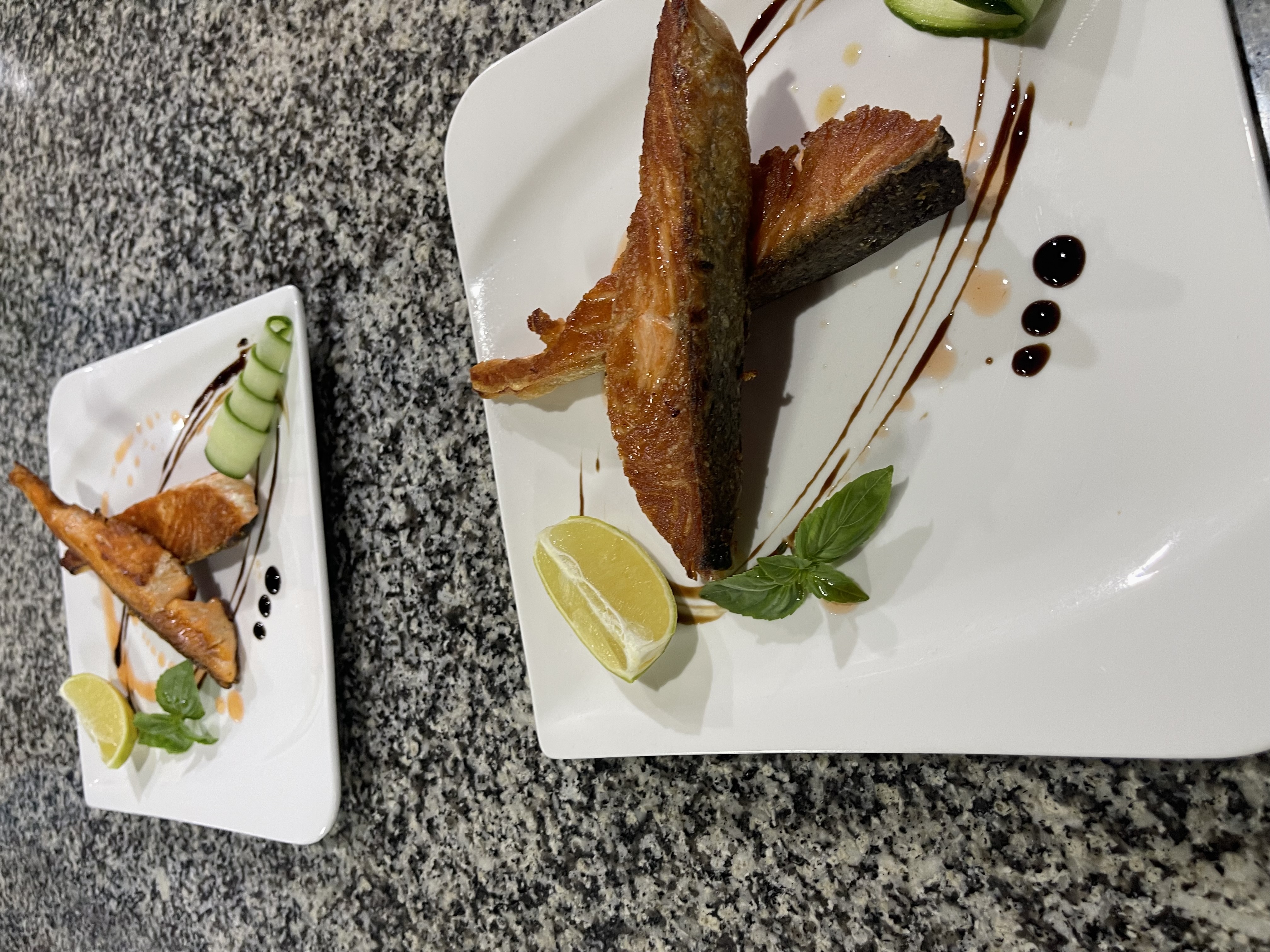 Salmon